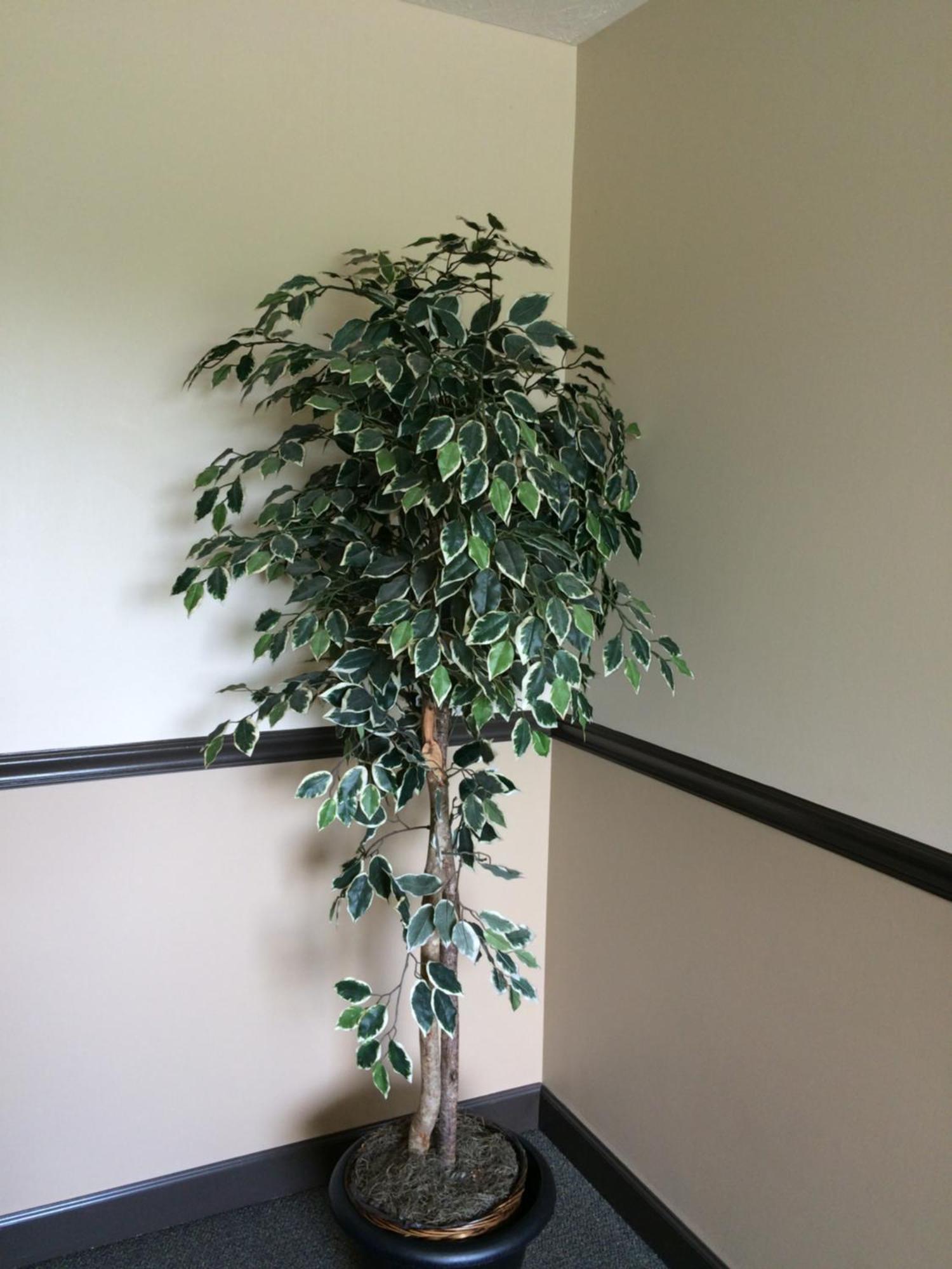 Fairway Inn Florence Indiana מראה חיצוני תמונה